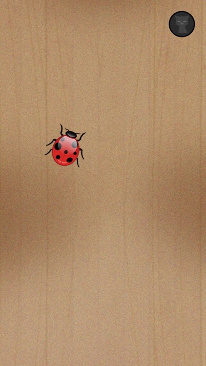 Lonely Cat Toy 2 - Fun Games for a cat alone