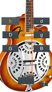 dobro tuner simple problems & solutions and troubleshooting guide - 4