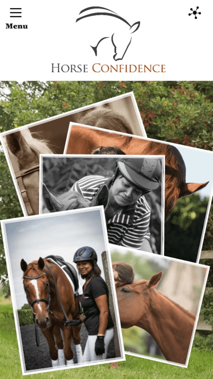 Horse Confidence
