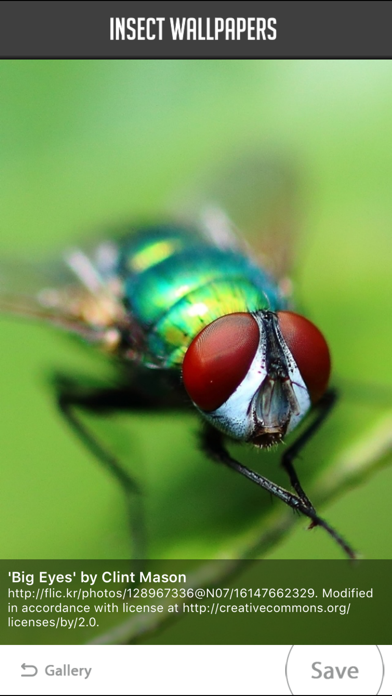 Screenshot #2 pour Insect Wallpaper