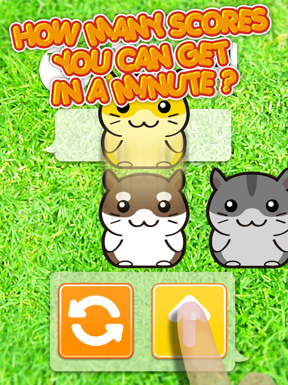 Screenshot #6 pour Hamster Dojo - Best Fun Pocket Games Play With My Littlest Pet Hamsters