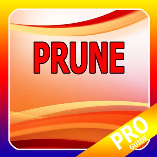 PRO - Prune Game Version Guide