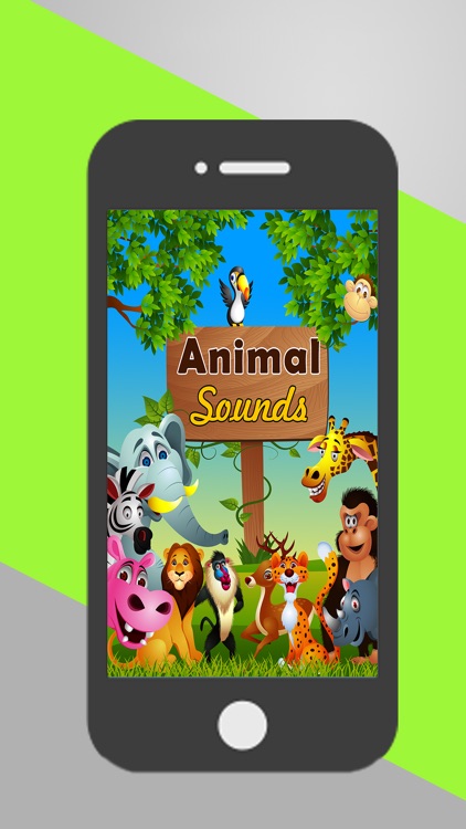 Animal And Birds Sounds