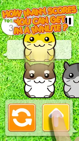 Game screenshot Hamster Dojo - Best Fun Pocket Games Play With My Littlest Pet Hamsters hack