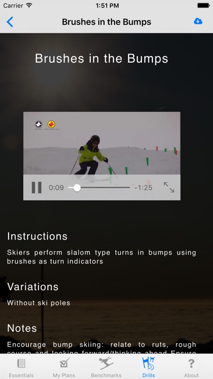 Alpine Ski Coach screenshot-3