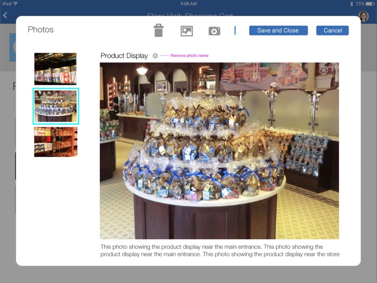 Oracle Sales Cloud Retail Execution Mobile