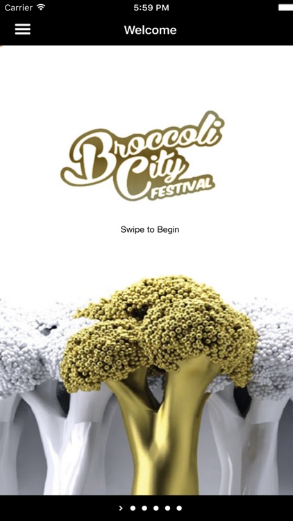 Broccoli City Festival