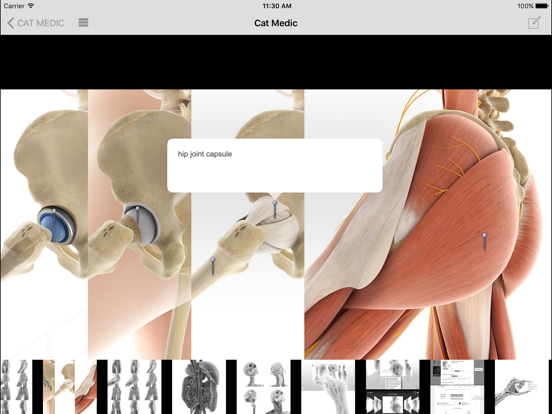 Screenshot #5 pour CAT MEDIC - Illustrated Medicine