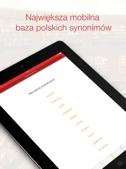 Synonimy screenshot 5