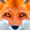 Ultimate Fox Simulator icon