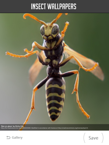 Screenshot #6 pour Insect Wallpaper