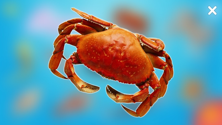 Умный Малыш: обучение детей в картинках screenshot-3