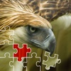 Birds Jigsaw Puzzles