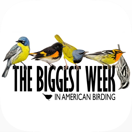 BirdsEye Biggest Week in American Birding Festival App icon