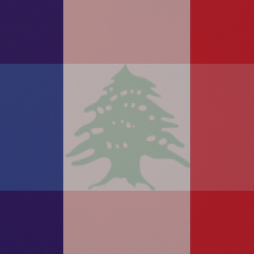 Flag Overlay icon