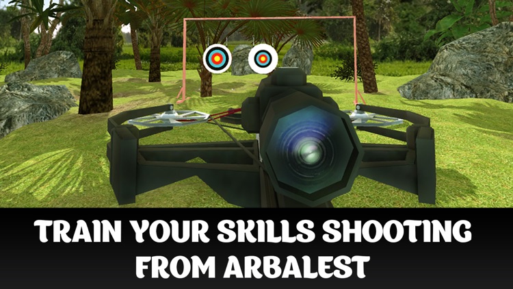 Crossbow Shooting Championship 3D