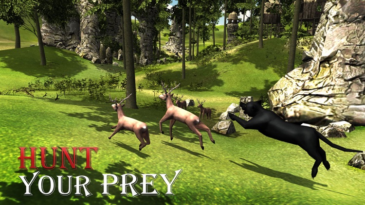 Angry Panther Attack 3D - Wildlife Carnivore Simulation Game