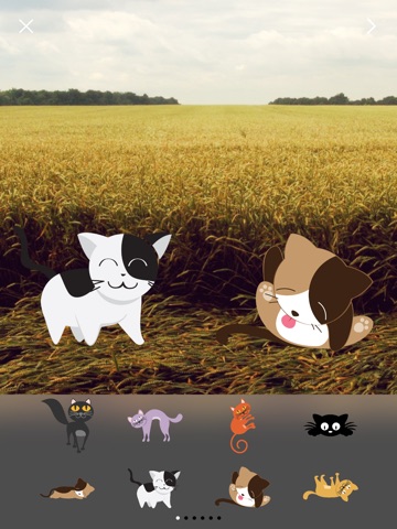 Now That's Cats & Kittens: Turn Your Photos Into Greeting Cards With Stickersのおすすめ画像4