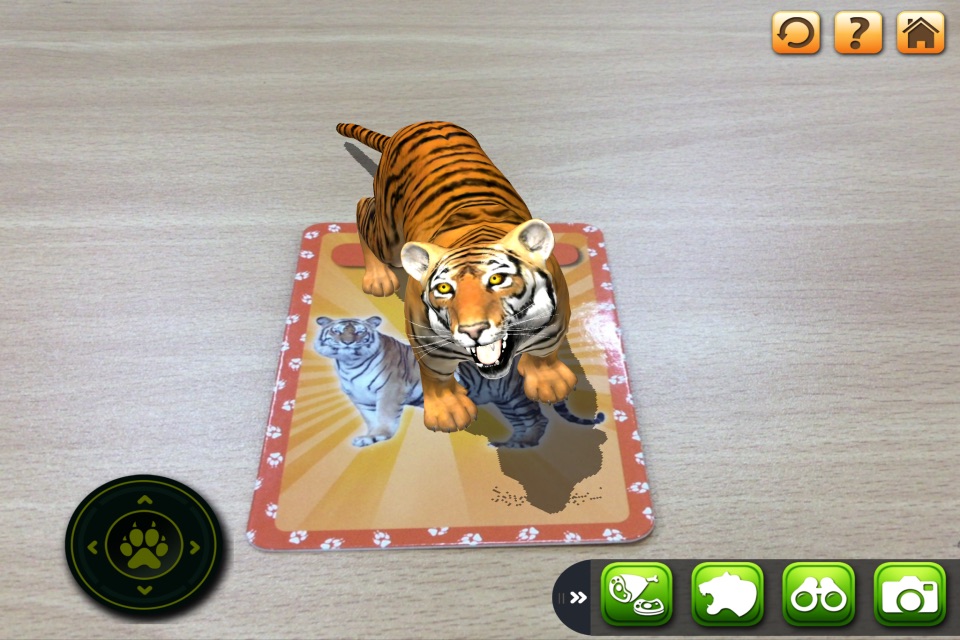 3D LEARNING CARD SAFARI screenshot 2