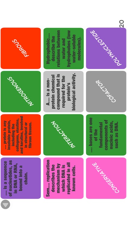 IB Biology SL and HL Key Terms Games