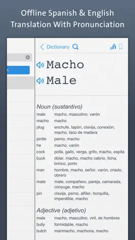 Game screenshot Spanish Dictionary | Offline Translation With Pronunciation mod apk