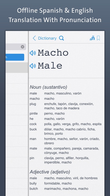 Spanish Dictionary | Offline Translation With Pronunciation screenshot-0