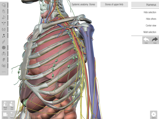 Screenshot #6 pour Human Anatomed