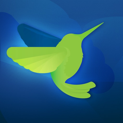 Stratus Video Interpreting