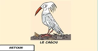 Screenshot #1 pour Les oiseaux du Caillou - NC