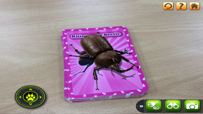 Screenshot #2 pour 3D LEARNING CARD BUGS