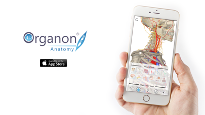 3D Organon Anatomy - Brain and Nervous System Screenshot