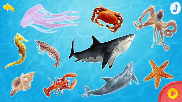 Умный Малыш: обучение детей в картинках