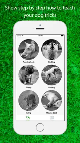 Game screenshot Dog Whistler Free: A Step by Step Guide to Teaching Your Puppy and Dog clicker sound apk