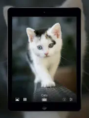 Фоторамка Онлайн айпад изображения 3