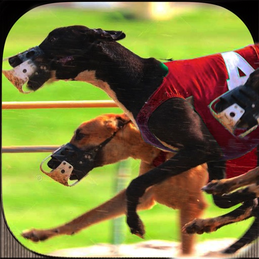 Real Wild Dog Racing 3D Simulator 2016 icon