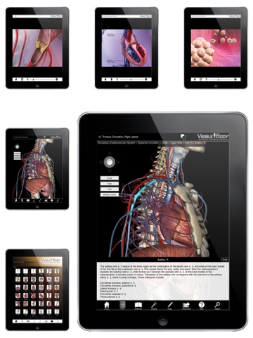 Screenshot #5 pour For Organizations - 2016 3D Heart & Circulatory Premium 2