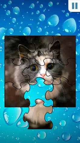 Game screenshot Jigsaw Puzzles - Amazing free classic jigsaw game mod apk