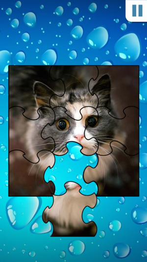 Jigsaw Puzzles - Amazing free classic ji