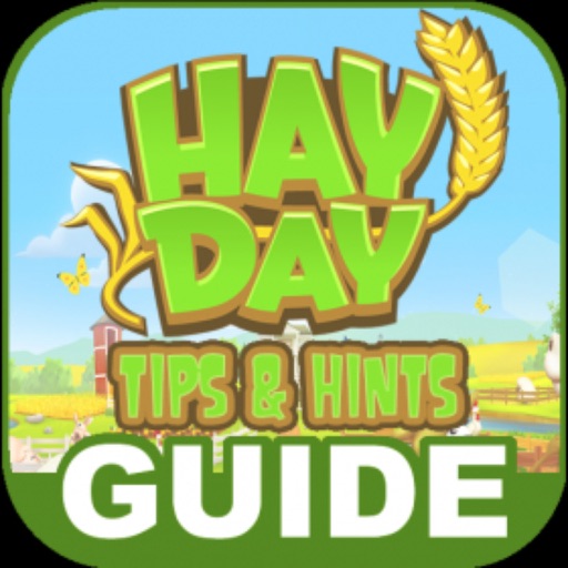The best Guide for HD - Building and Tips & cheats for HD