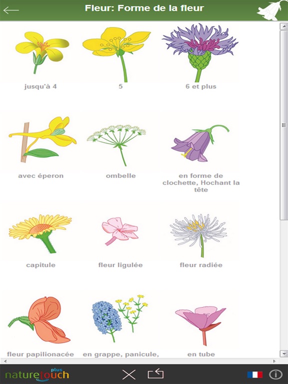Screenshot #5 pour Identification des 3000 plantes, naturetouch