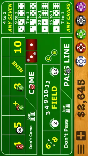 Casino Craps Pro 3D screenshot 5