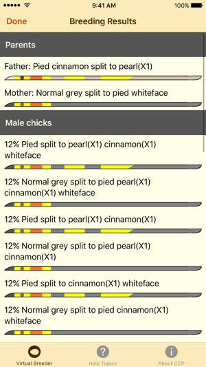 Cockatiel Color Palette