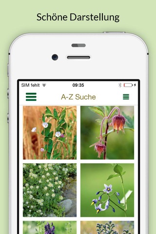 Blumen bestimmen – entdecken Sie, welche Pflanzen und Blüten Sie in Natur und Garten umgeben screenshot 4