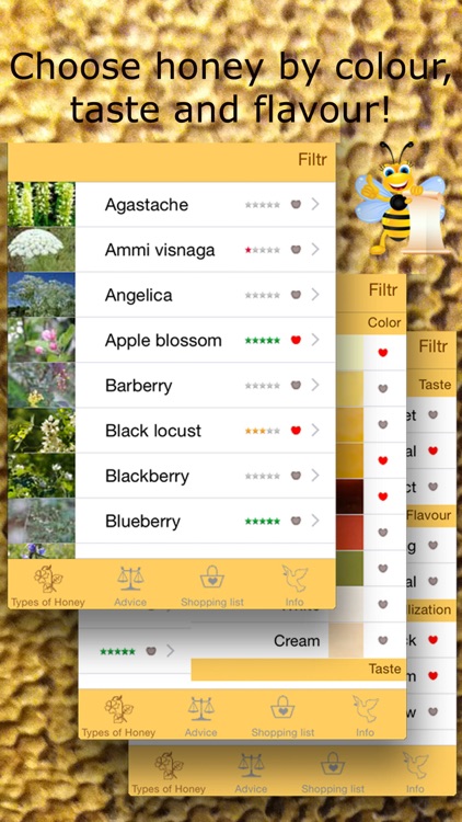 Honey Guide. All about bees and honey types.