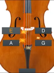 double bass tuner simple ipad images 1