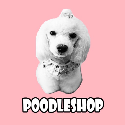 푸들샵 - poodleshop icon