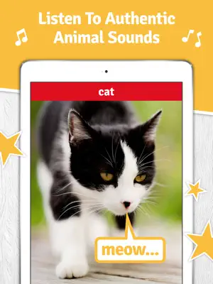 SO Animals screenshot 4