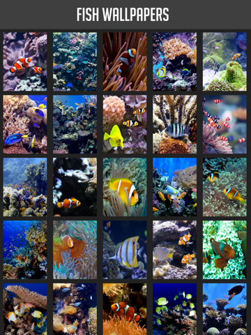Screenshot #4 pour Fish Wallpapers!