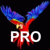 Parrot P.r.o. Lite