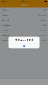 Dubai Airport Flight Status screenshot